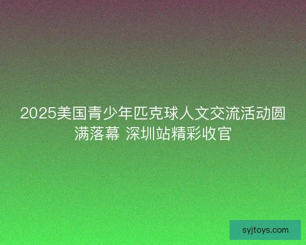 2025美国青少年匹克球人文交流活动圆满落幕 深圳站精彩收官