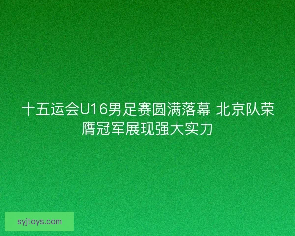 十五运会U16男足赛圆满落幕 北京队荣膺冠军展现强大实力 十五运会U16男足赛圆满落幕 北京队荣膺冠军展现强大实力